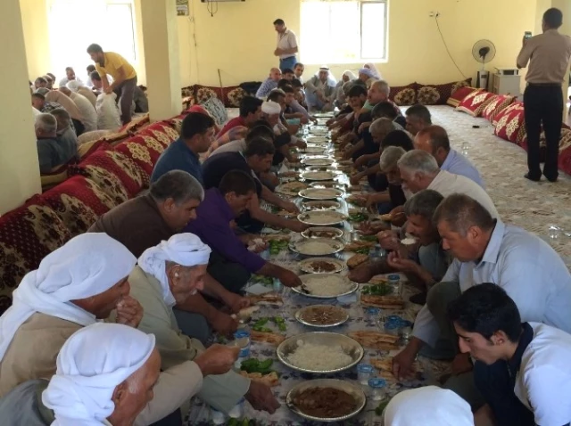 Türkiye ve Suriye'de Dağılan Aşiret Üyeleri, 100 Yıl Sonra Bir Araya Geldi