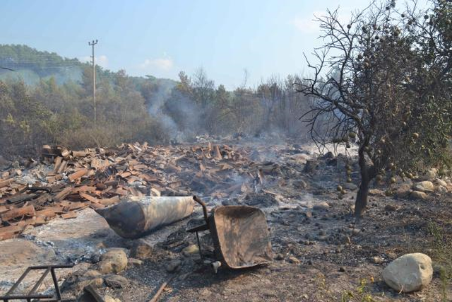 Ula'da Orman Yangını 8 Saatte Söndürüldü