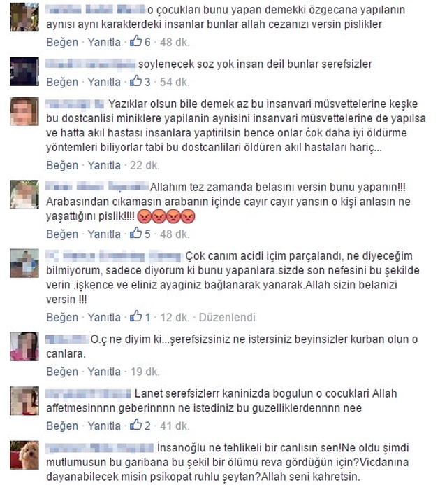 Adana'da Patileri Bağlanarak Yakılmış Köpek Cesedine Tepki Yağdı