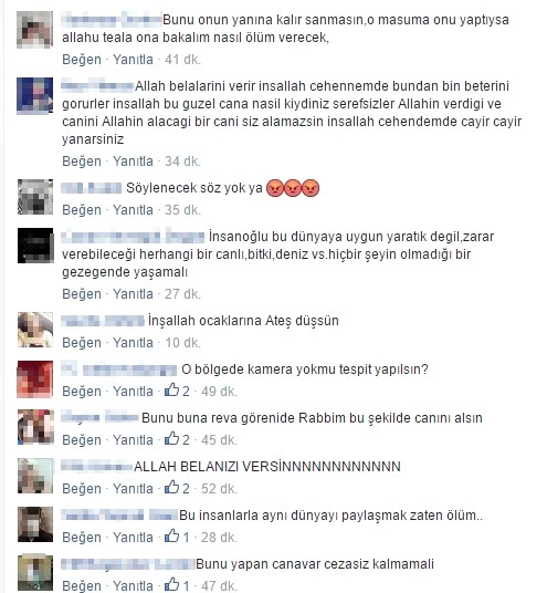 Adana'da Patileri Bağlanarak Yakılmış Köpek Cesedine Tepki Yağdı