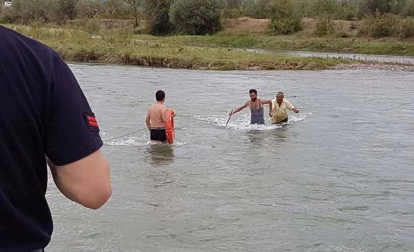 İneğin Peşinden Gittiği Adacıkta Mahsur Kaldı