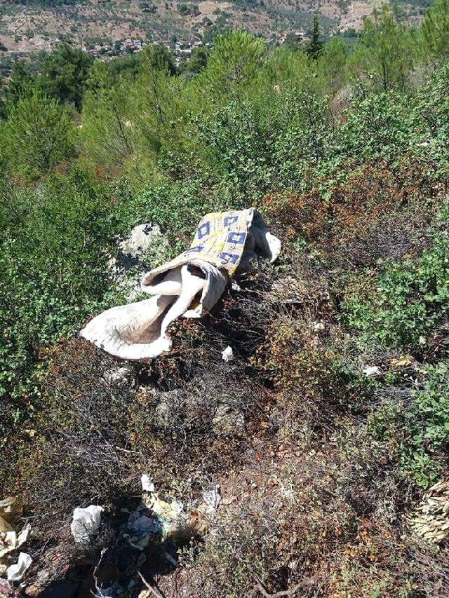 Oto Elektrikçisini Öldürüp, Üzerini Otlarla Örttüler