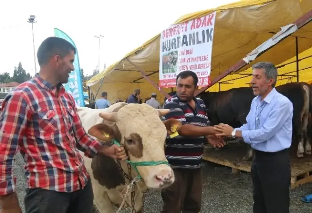 E-Kurban Yoğun Talep Görüyor