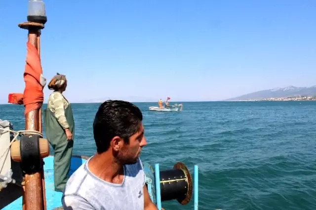 Ağların Sultanı, Ekmeğini Denizden Çıkartıyor