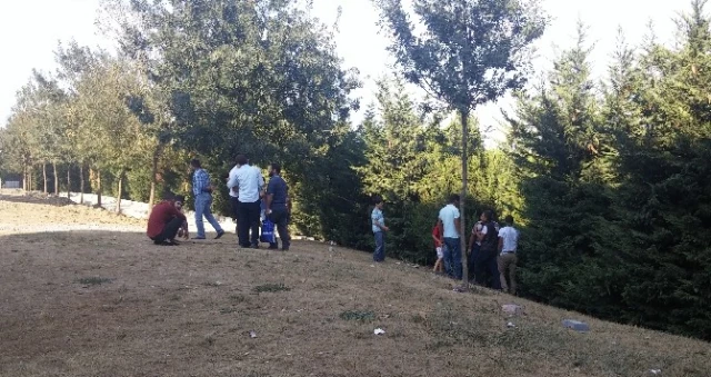 İstanbul'da Parkta Oynayan Çocuklar, Ceset Buldu