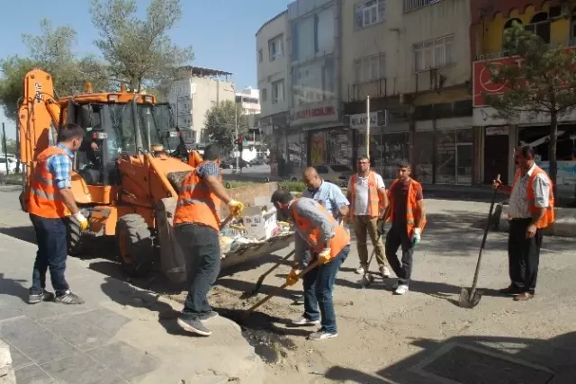 Kayyum Atanan Belediye İşçileri İş Bıraktı, Çöpleri Karayolları Ekipleri Topladı