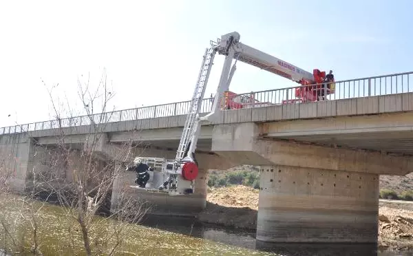 Jandarma Baykuş İçin Köprüyü Kapattı, İtfaiye Kuşu Kurtardı