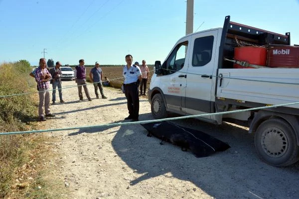 Adana'da Akıma Kapılan 2 İşçi Öldü