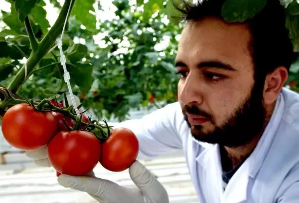 Türkiye'de İlk Kez Jeotermal Enerjiyle Eksi 46 Derecede Seracılık