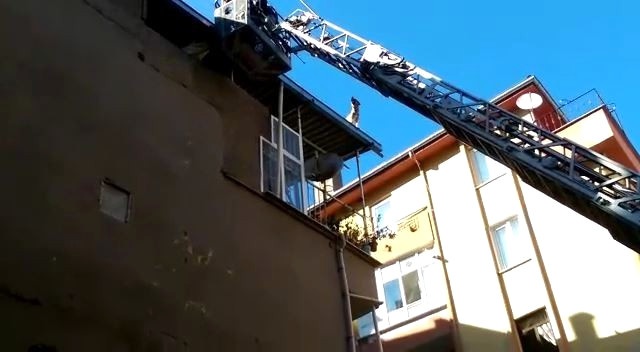 İtfaiyenin Kurtarmaya Çalıştığı Köpek 5. Kattan Atladı