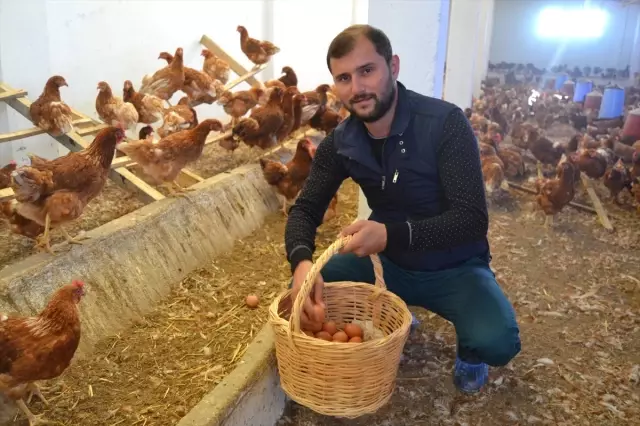 İstanbul'un Stresinden Bıktı, Huzuru Tavukçulukta Buldu