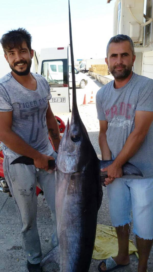 Finike Açığında Oltayla 'Kılıç Balığı' Tuttu