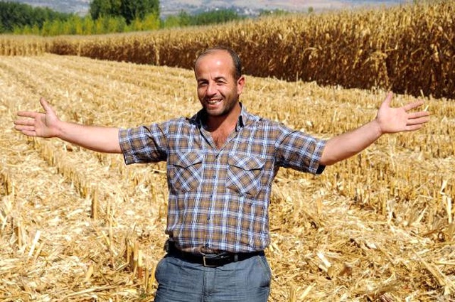 Tarladan Çaldıkları 19 Ton Mısırı Satmaya Götürürken Yakalandılar