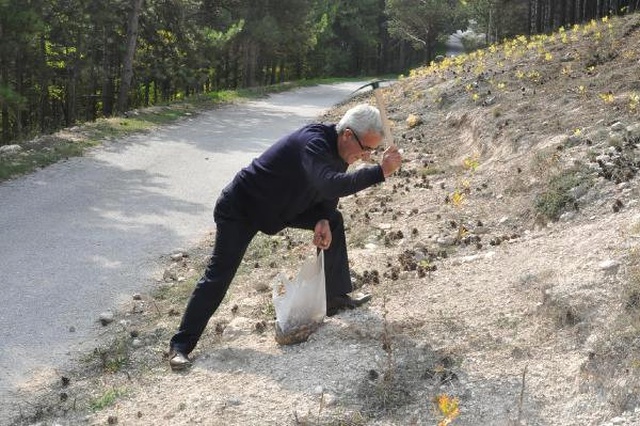 Emekli Öğretmen 1 Yılda 45 Bin Fidan Dikti