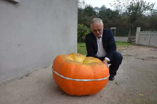 90 Kilogramlık Bal Kabağı Yetiştirdi