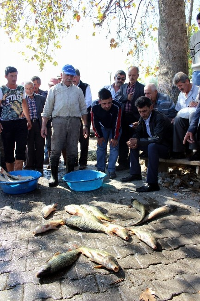 Balık Borsasında En Çok İlgiyi Zıplayan Balıklar Çekiyor