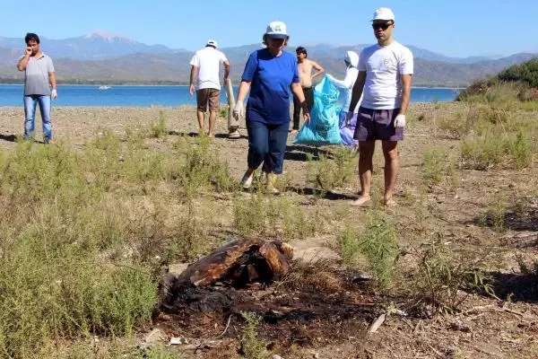 Caretta Caretta Kaplumbağasını Ateşe Vermişler