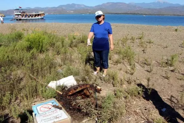 Caretta Caretta Kaplumbağasını Ateşe Vermişler