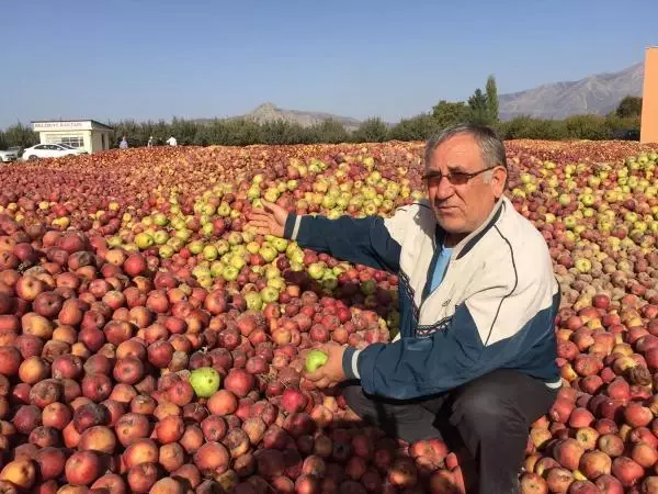 Çivril'de Üreticiler Elmalarını Satamadı