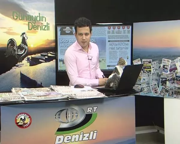 Sokak Kedisinin Canlı Yayın Keyfi İlginç Görüntüler Oluşturdu