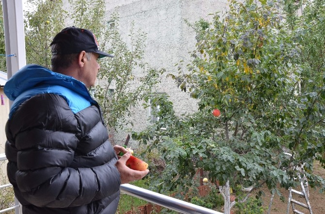 Adı Konulmamış, Tadı Bilinmeyen Meyve Kafaları Karıştırdı