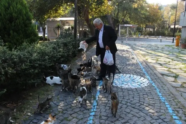 'Kedi Bölüğü' Sabah İçtimasında