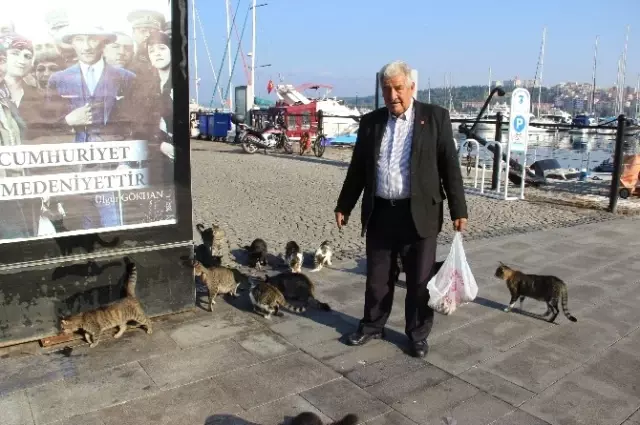 'Kedi Bölüğü' Sabah İçtimasında