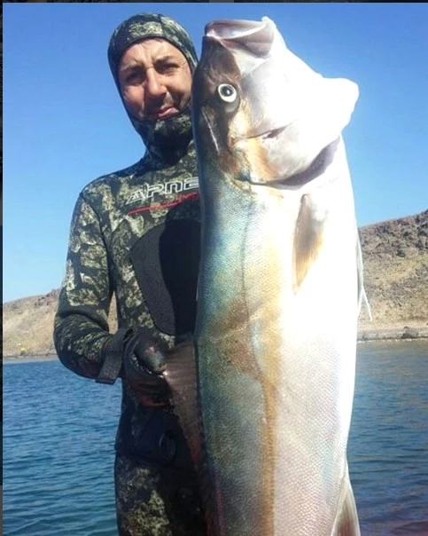 47 Kiloluk Balığı Zıpkını ile Yakalayarak Rekor Kırdı