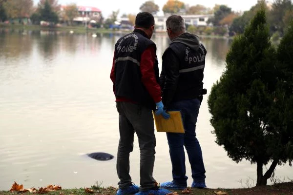 İzmit Fuarı'ndaki Gölette Ceset Bulundu