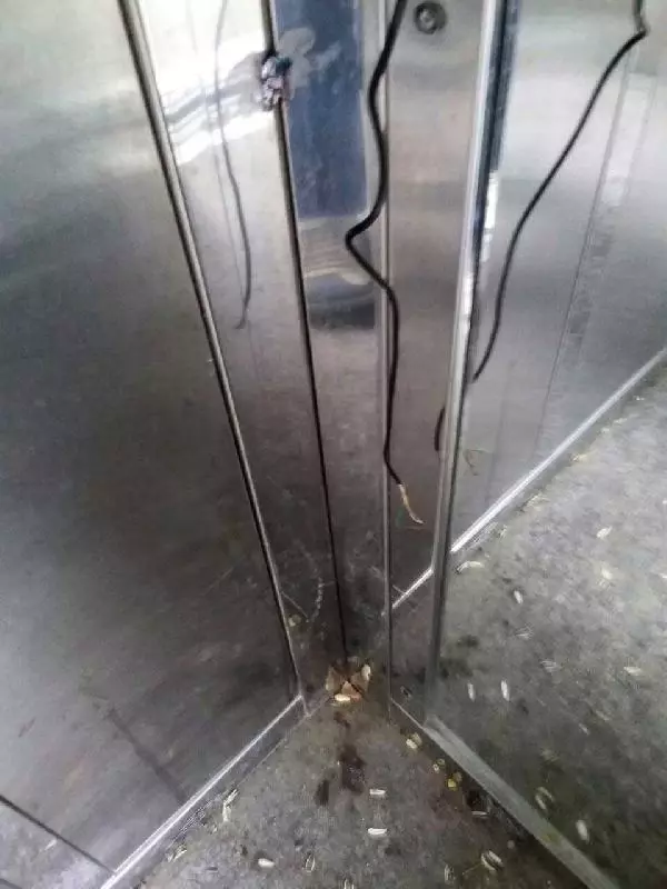 Engelliler Asansörünü Parçalayanlar Kamerada