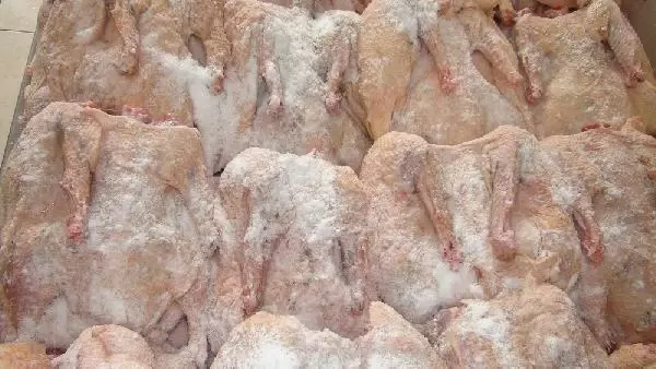 Hem Lezzetli Hem Değerli! Kars'ta Kar Yiyen Kazların Kesimi Başladı