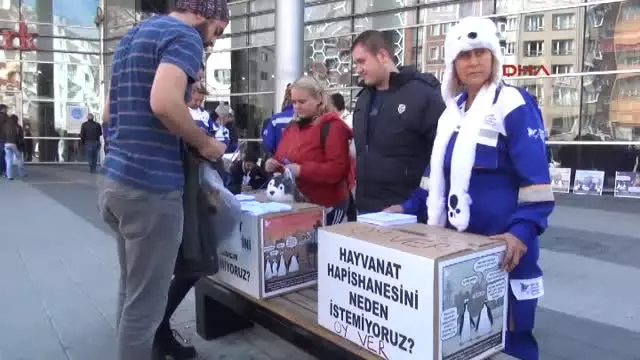 Hayvanat Bahçesini ve 2 Milyonluk Penguenleri Protesto Ettiler