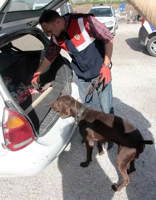 Adana'da Olağanüstü Hal! Şehre Giren Bütün Araç ve Şahıslar Tek Tek Aranıyor