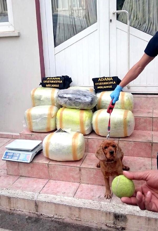 Tavanda 52.5 Kilo Esrar! 'Uyuşturucu Benim, Eşimi Serbest Bırakın' Diyen Koca da Tutuklandı