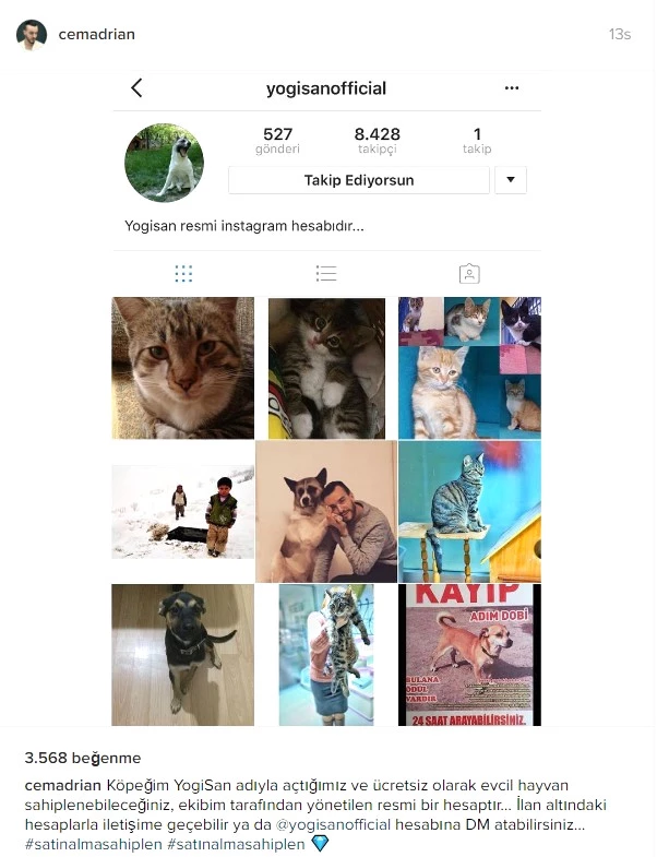 Ünlülerin Instagram Paylaşımları [20 Kasım 2016]