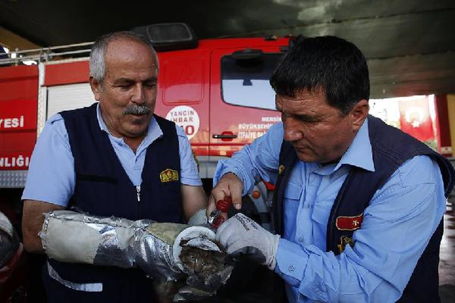 Başı Tuvalet Kapağında Sıkışan Yavru Kediyi İtfaiyeciler Kurtardı