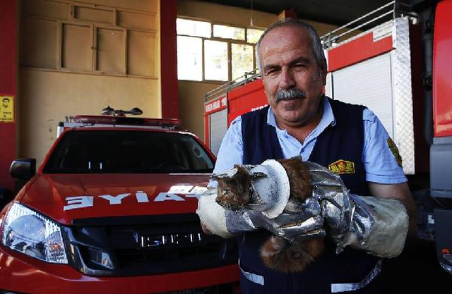 Başı Tuvalet Kapağında Sıkışan Yavru Kediyi İtfaiyeciler Kurtardı