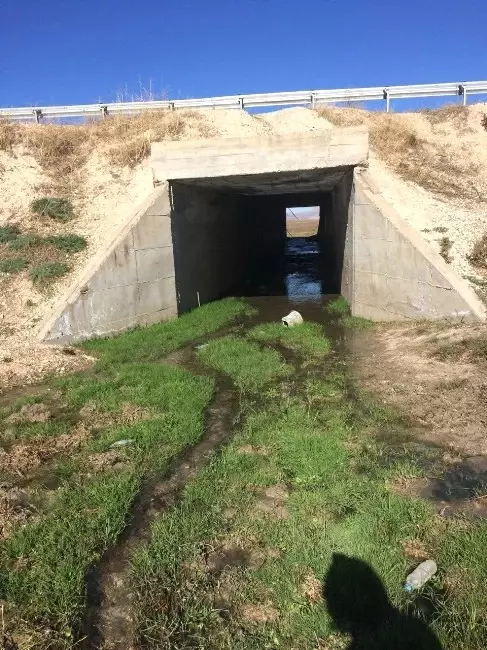 Eğitimli Köpeklerin Tespit Ettiği El Yapımı Patlayıcı İmha Edildi