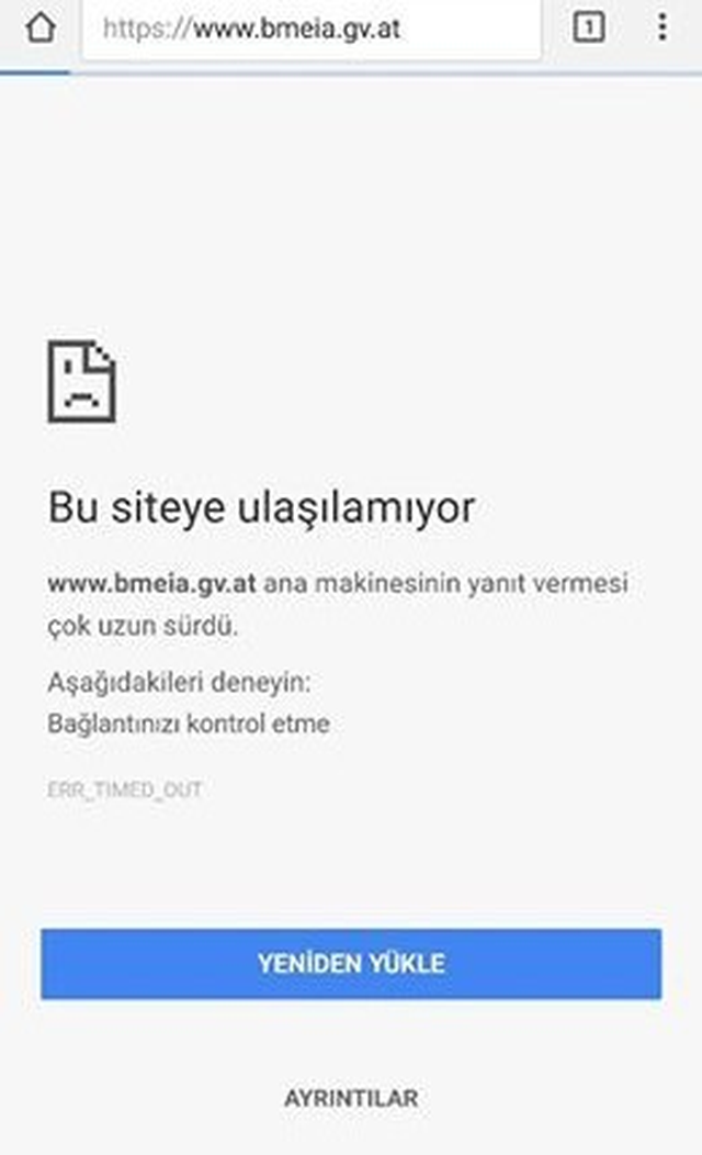 Türk Hacker'lardan Avusturya Dışişleri Bakanlığı'na Ambargo!