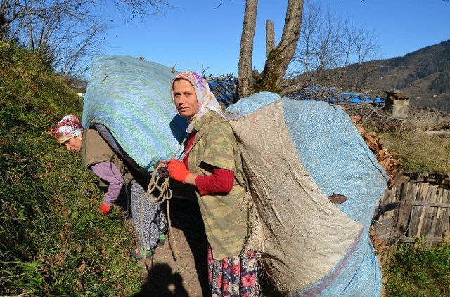 Karadeniz Kadını Zor Yükün Altına Giriyor