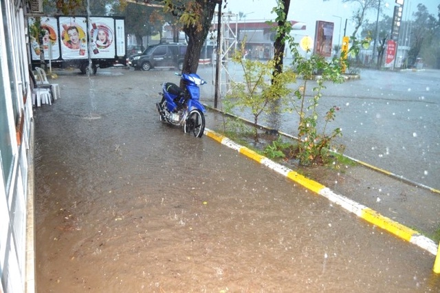 Ayvalık'ta Hortum Ağaçları Devirdi, Çatıları Uçurdu