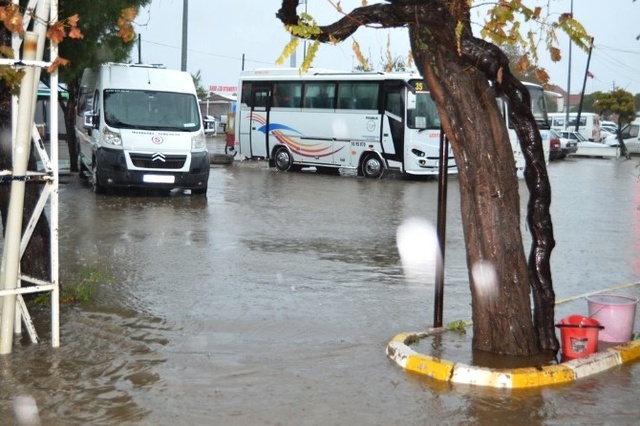 Ayvalık'ta Hortum Ağaçları Devirdi, Çatıları Uçurdu