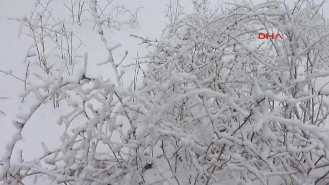 Doğuda 10 Santime Ulaşan Kar Hayatı Felç Etti