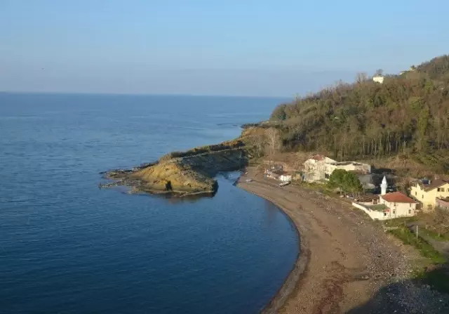 Görenler Şaşkın! Ordu'daki Timsah Adası Büyük ilgi Çekiyor