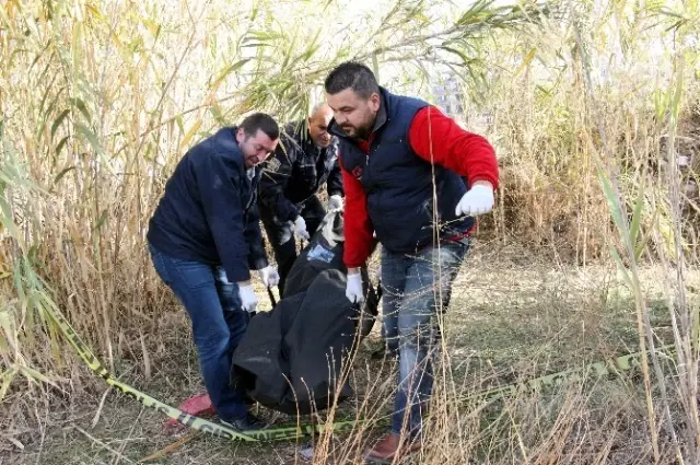 Şişe Ararken Ceset Buldu