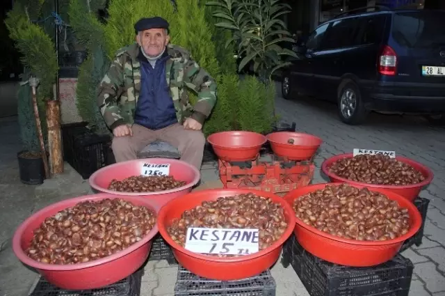 Fındık Fiyatı Geriliyor, Üretici Kestane Satmak Zorunda Kalıyor