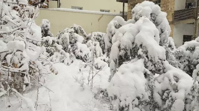 Mersin'de Kar Hayatı Felç Etti