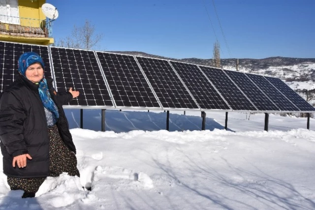 Almanya'da Gördü Çok Etkilendi, Köye Güneş Enerji Santrali Kurdu
