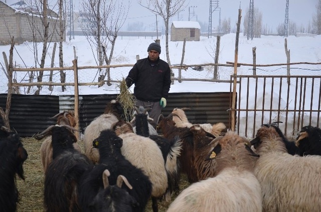 Yüksekovalı Aile Derme Çatma Evde Hayata Tutunmaya Çalışıyor