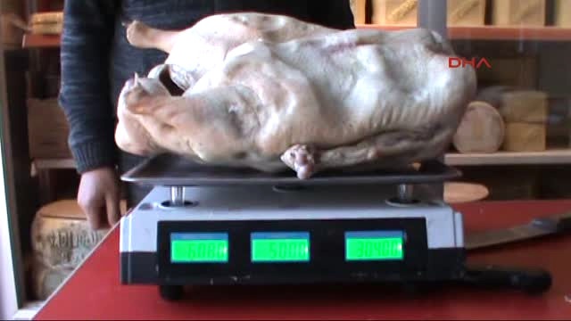 Ardahan'da Yaklaşık 7 Kiloluk Kaz Görenleri Şaşırttı